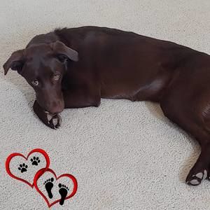 Meet your Posher, Kuruk